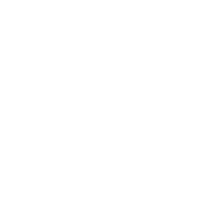 Spacehey Logo